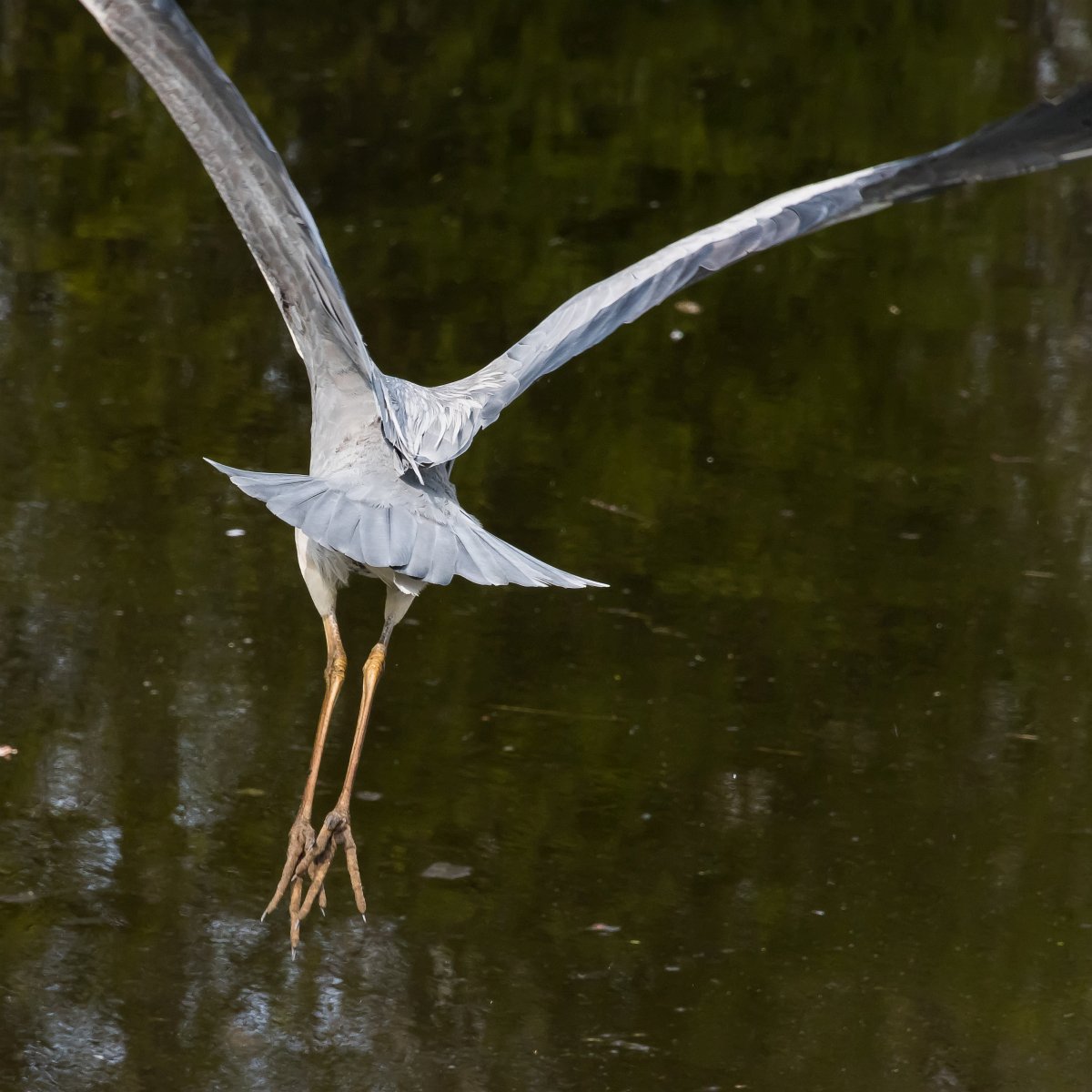 foto: [20210420PV3658]